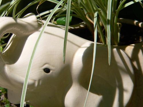 white-elephant2.jpg