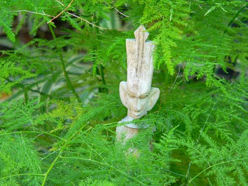 garden.jpg
