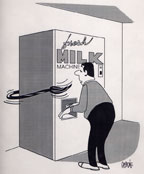 milk.jpg