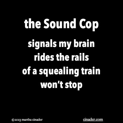 the Sound Cop