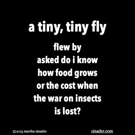a tiny-tiny fly